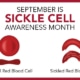 September is Sickle Cell Awareness Month