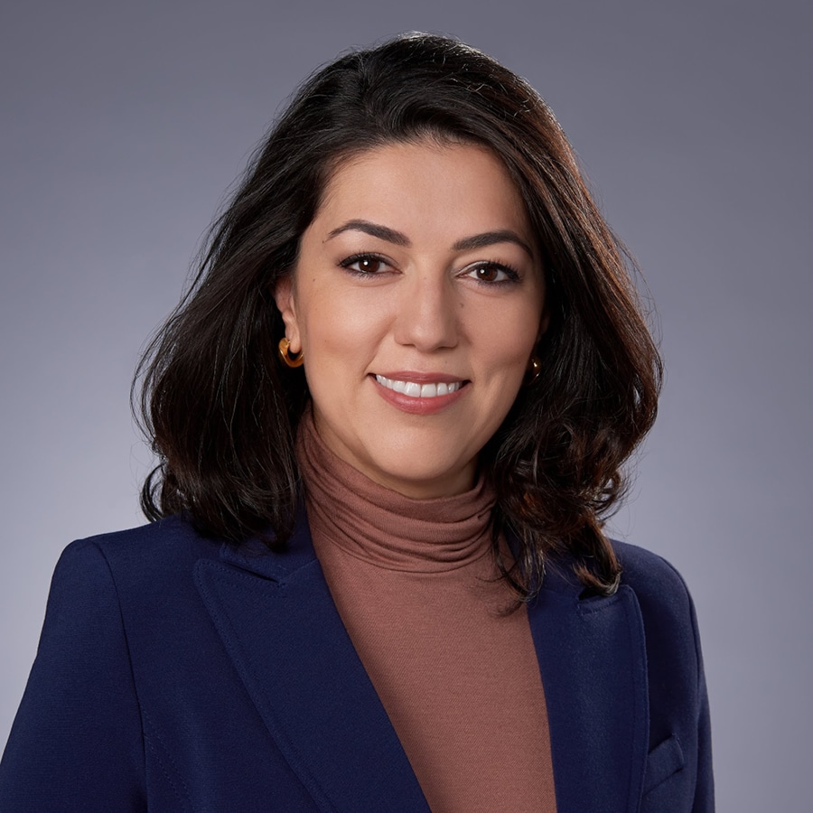 Doctors-Day-Nadjafi Dr. Maral Nadjafi: Interim Chief of Medicine and Medicine Program Director, Division Head- General Internal Medicine, North York General