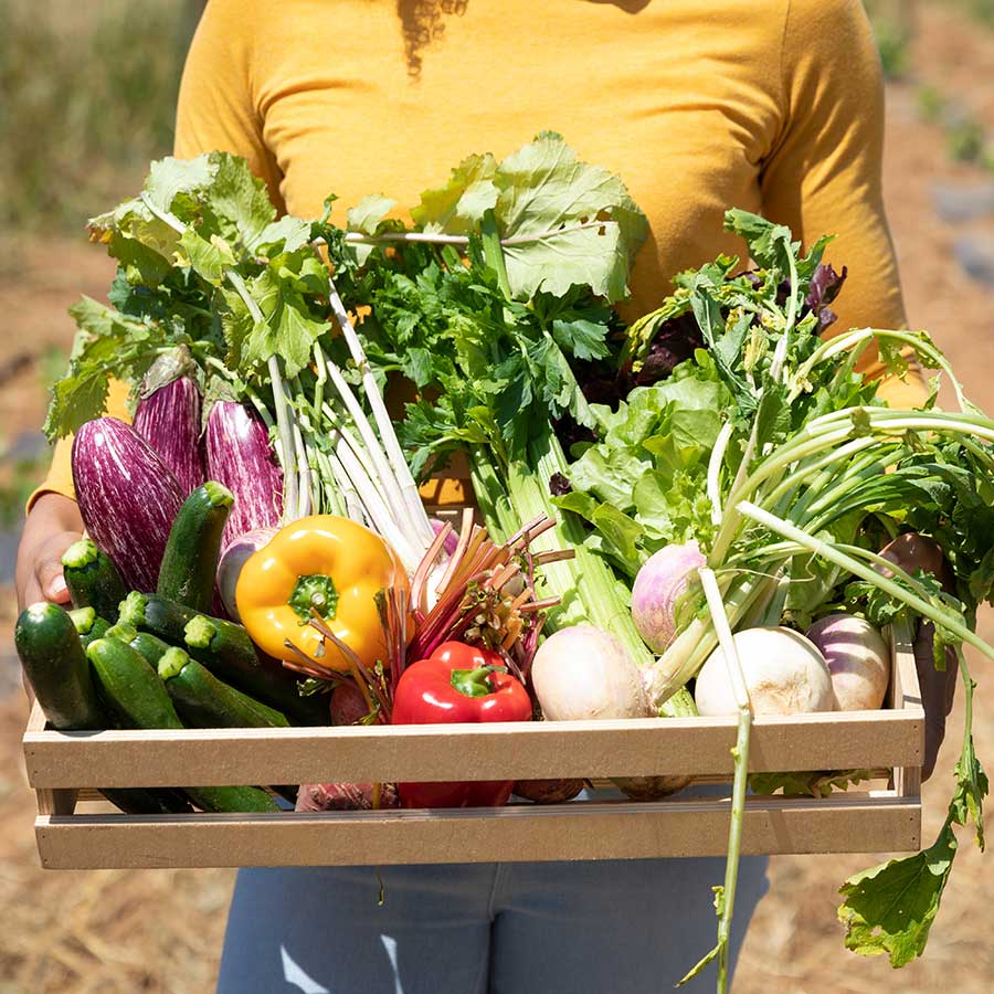 Buy local, field grown produce