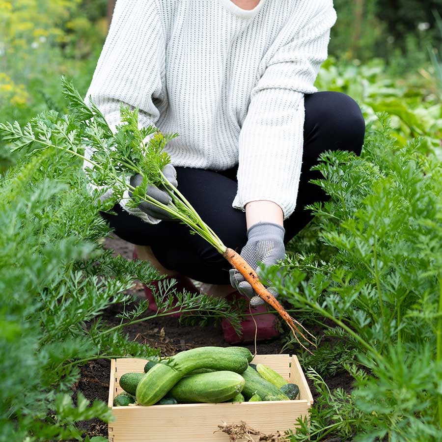 Home-Grown Home Grown Produce