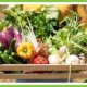 Celebrating Nutrition Month